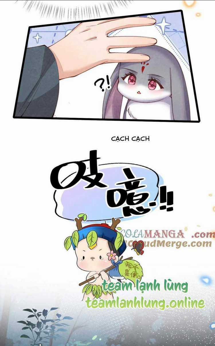 Cách Để Tồn Tại Như Một Cống Phẩm Chapter 8 trang 35