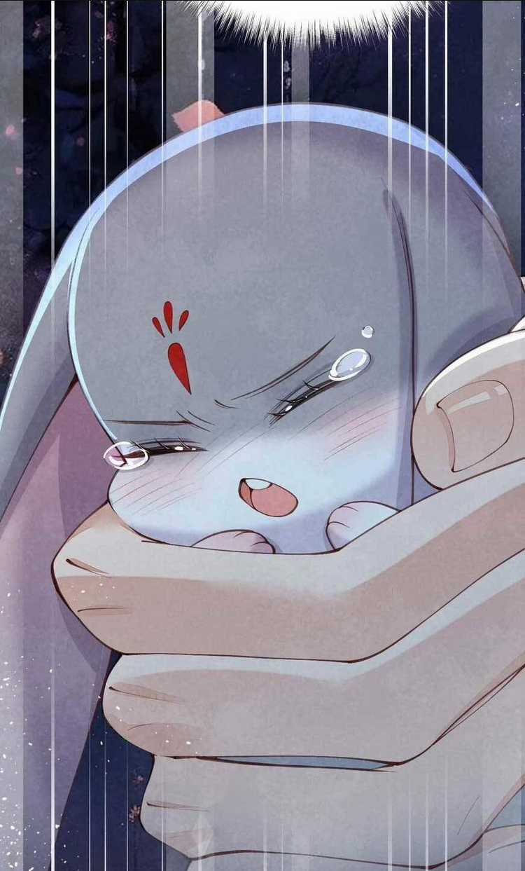 Cách Để Tồn Tại Như Một Cống Phẩm Chapter 8 trang 41