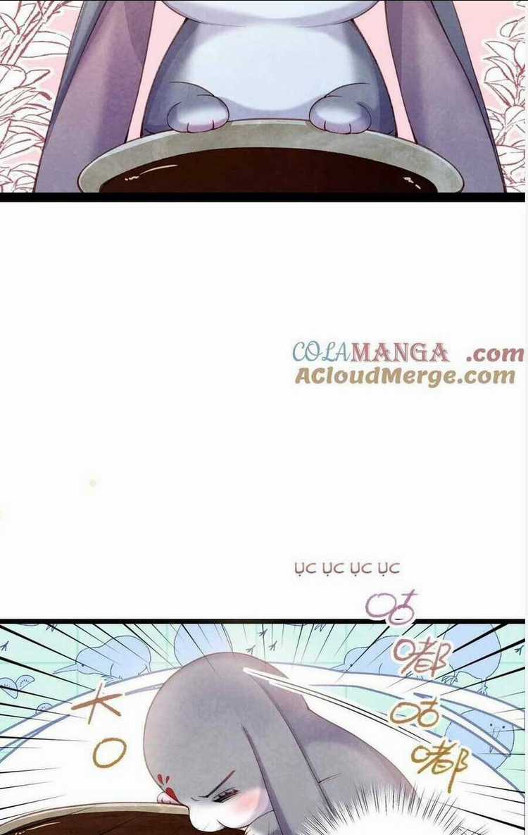 Cách Để Tồn Tại Như Một Cống Phẩm Chapter 8 trang 6