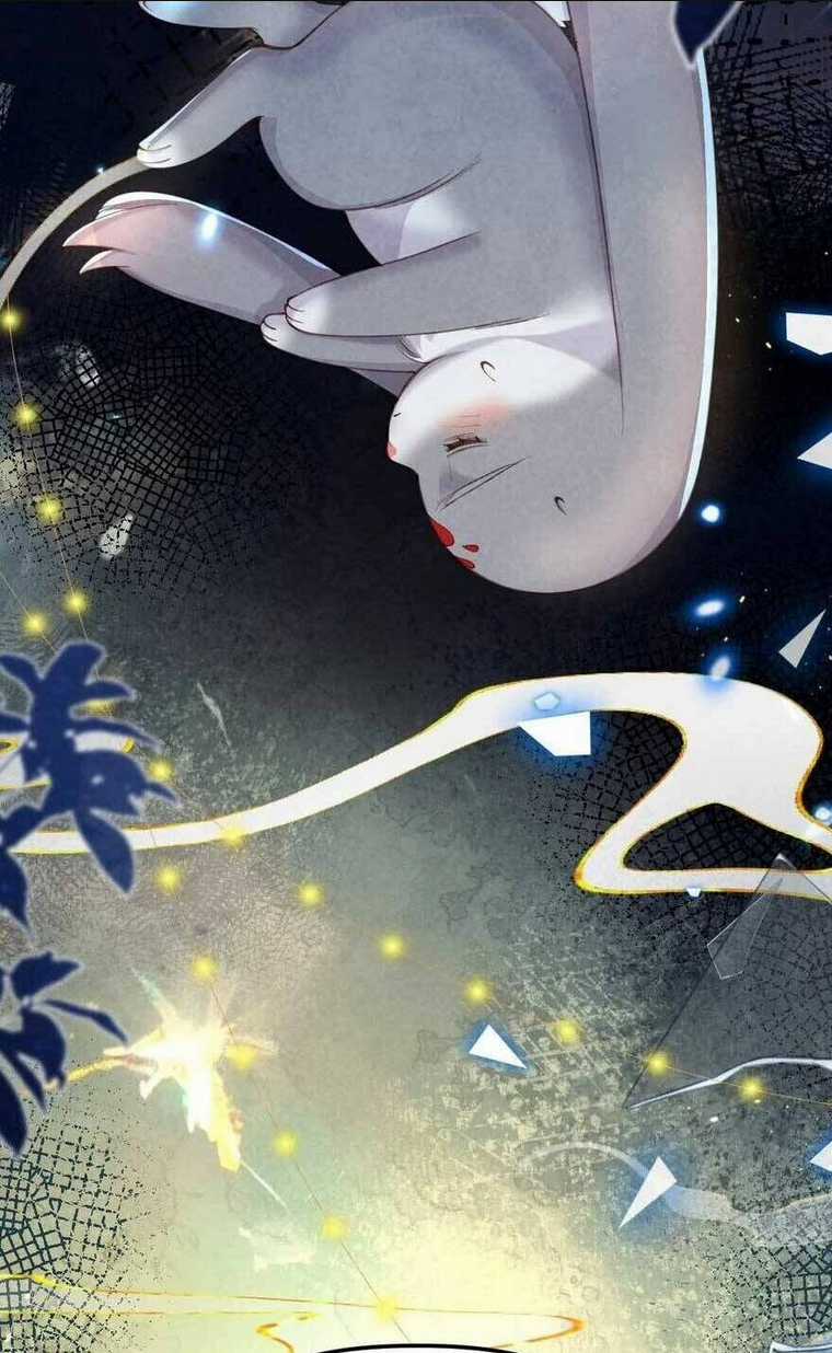 Cách Để Tồn Tại Như Một Cống Phẩm Chapter 9 trang 13