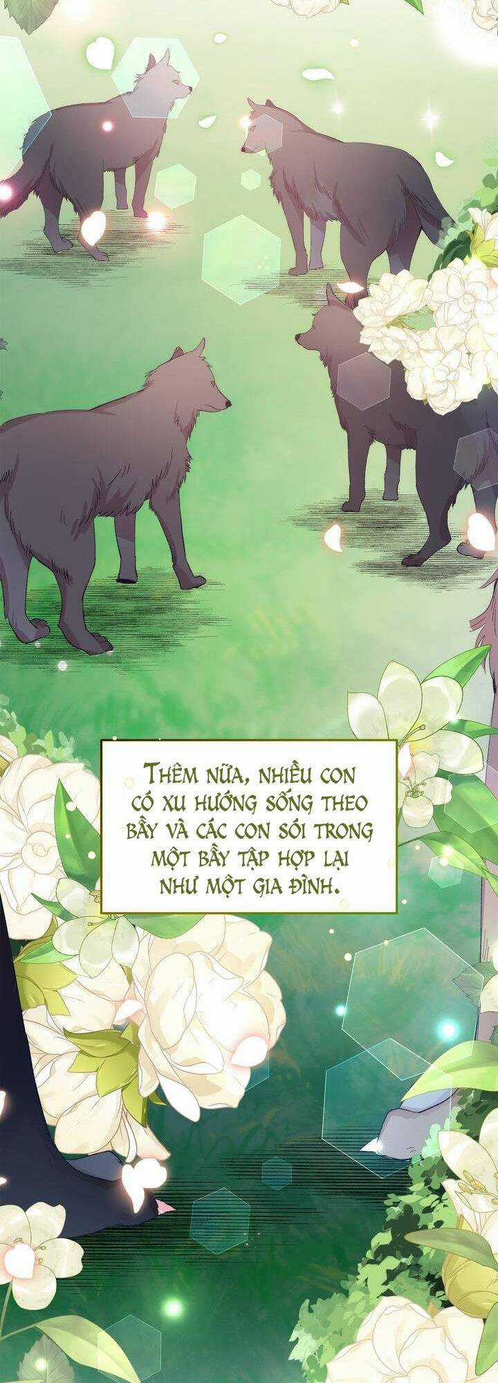 Cách Để Trao Vương Miện Cho Vị Hoàng Tử Hoang Dã Của Tôi. Chapter 11 trang 11