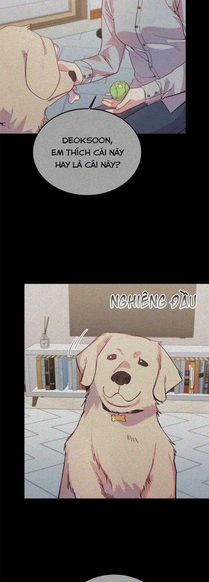 Cách Để Trao Vương Miện Cho Vị Hoàng Tử Hoang Dã Của Tôi. Chapter 17 trang 38