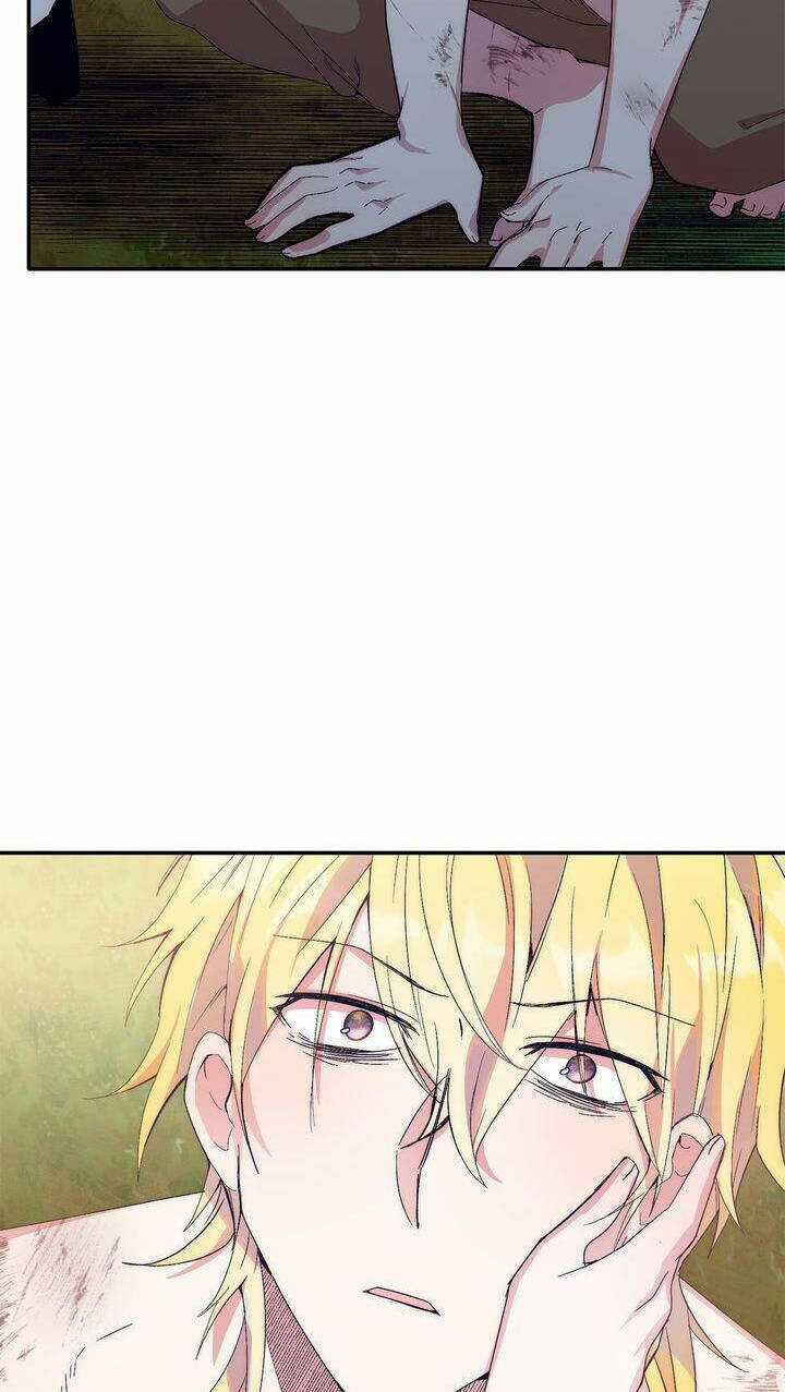 Cách Để Trao Vương Miện Cho Vị Hoàng Tử Hoang Dã Của Tôi. Chapter 18 trang 25