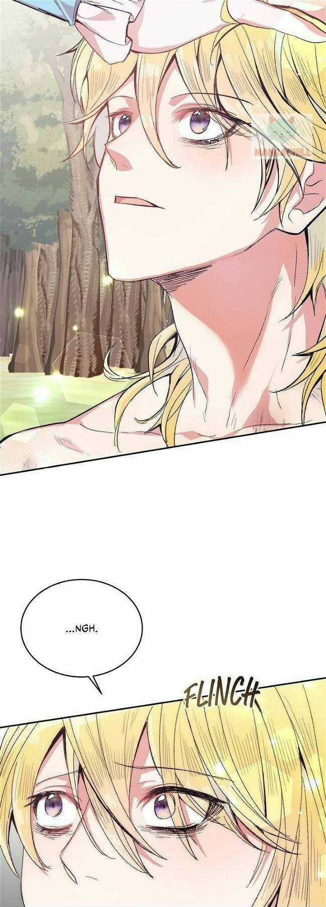 Cách Để Trao Vương Miện Cho Vị Hoàng Tử Hoang Dã Của Tôi. Chapter 5 trang 27