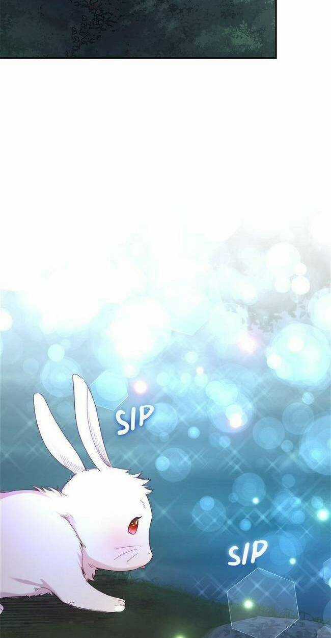 Cách Để Trao Vương Miện Cho Vị Hoàng Tử Hoang Dã Của Tôi. Chapter 9 trang 25