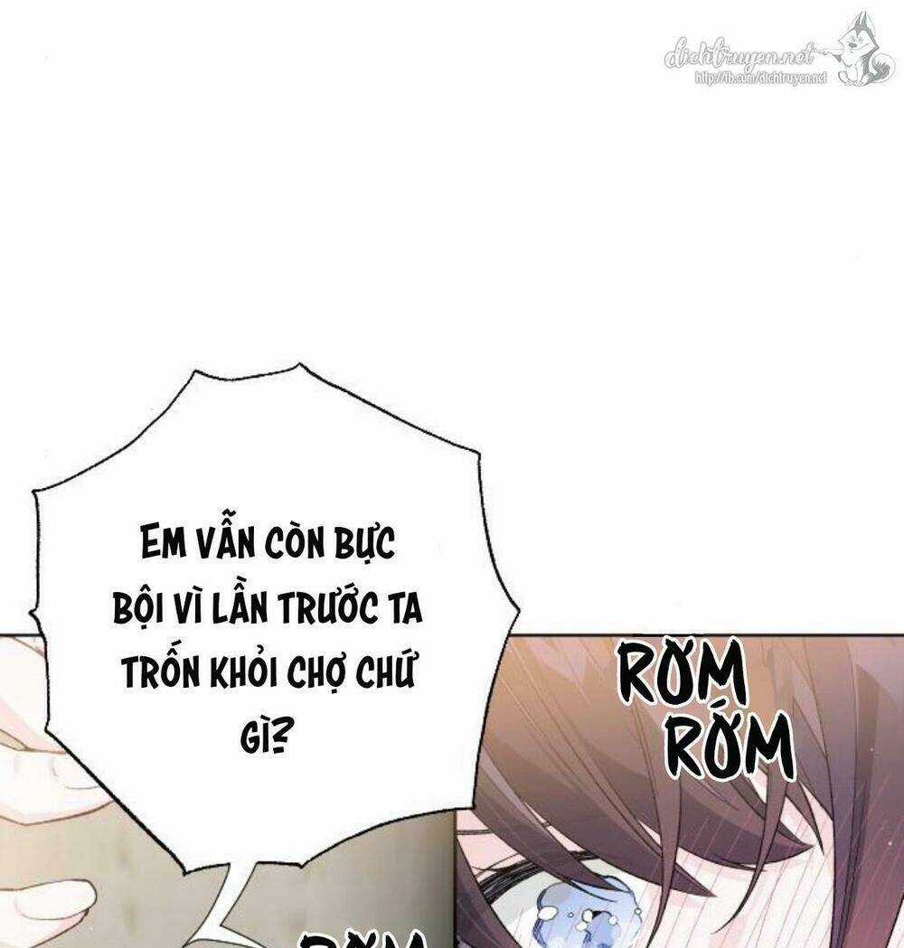 Cách Hiệp Sĩ Sống Như Một Tiểu Thư Quyền Quý Chapter 13 trang 5