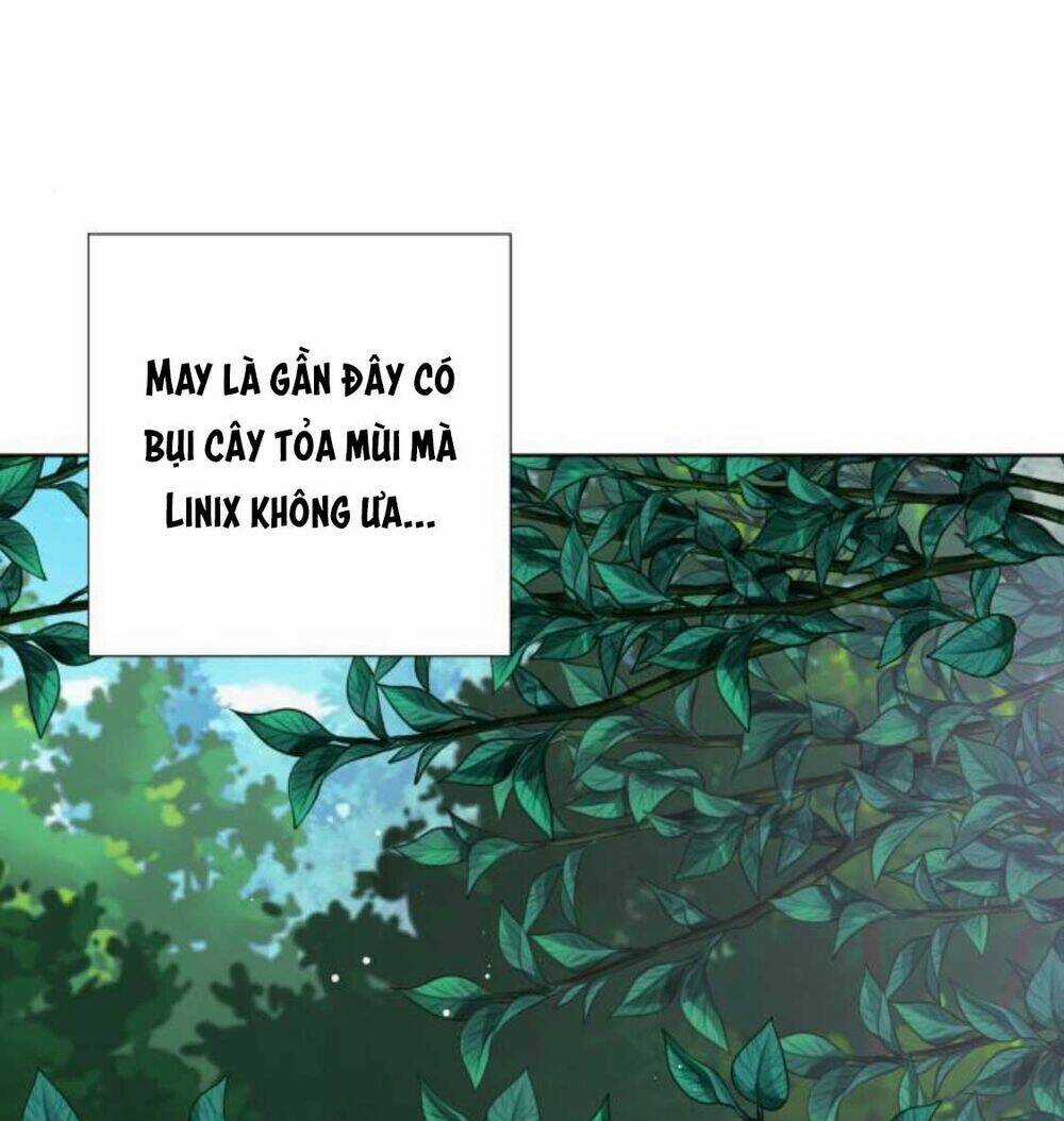 Cách Hiệp Sĩ Sống Như Một Tiểu Thư Quyền Quý Chapter 31 trang 75