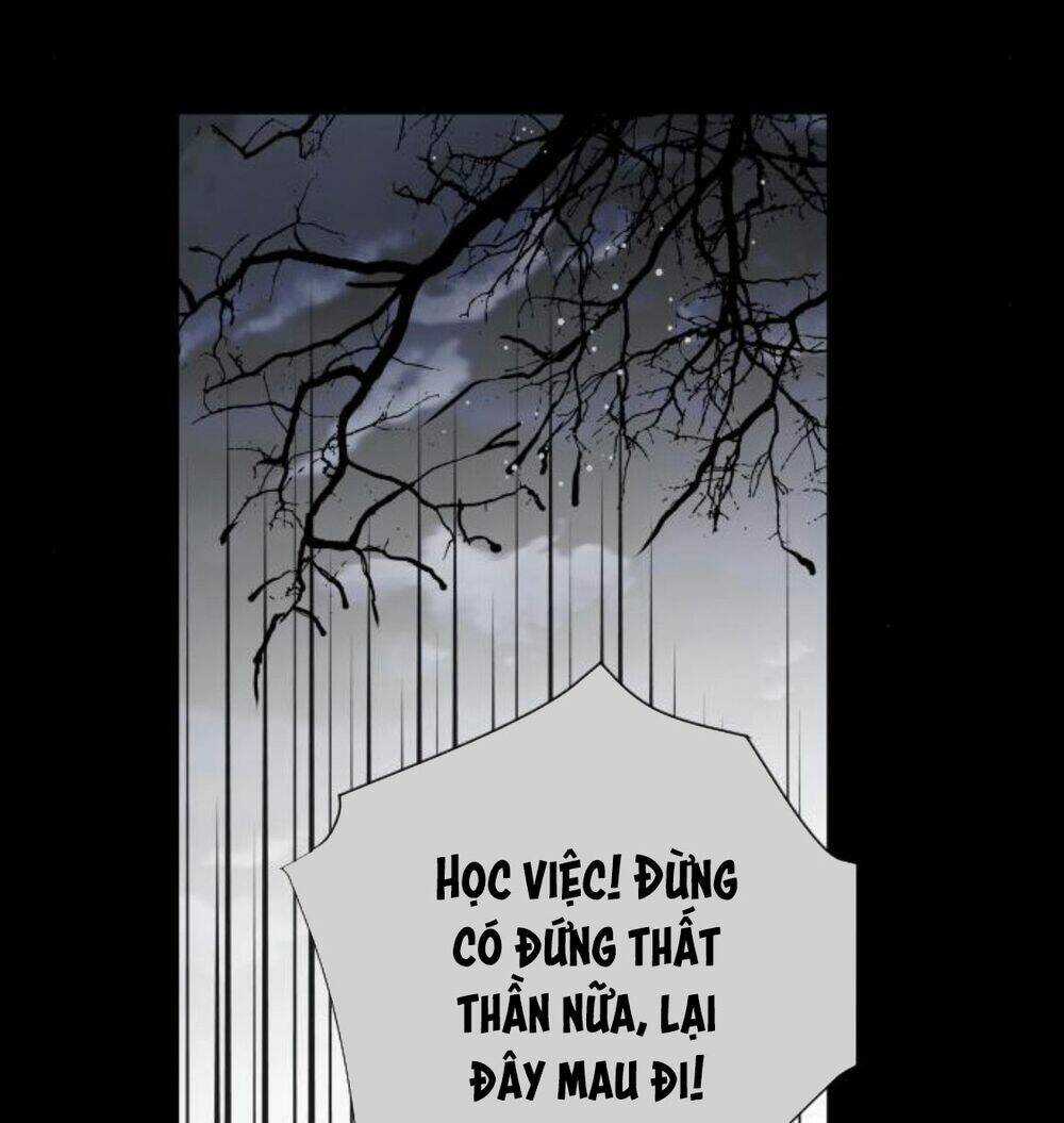 Cách Hiệp Sĩ Sống Như Một Tiểu Thư Quyền Quý Chapter 33 trang 19