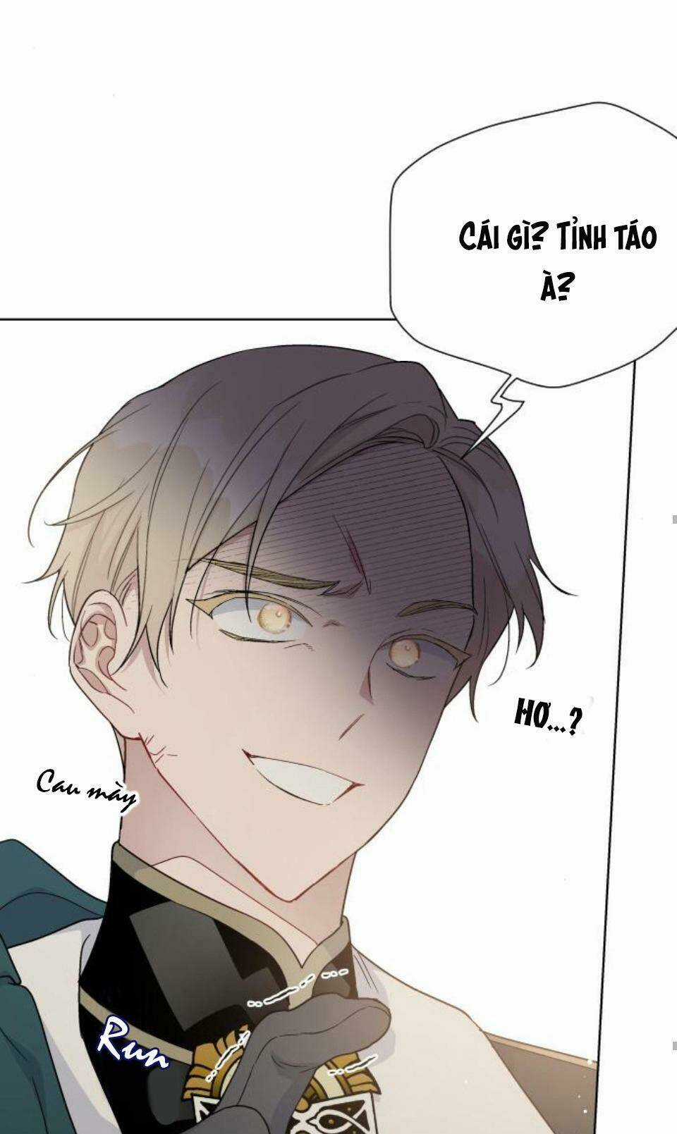 Cách Hiệp Sĩ Sống Như Một Tiểu Thư Quyền Quý Chapter 48 trang 12