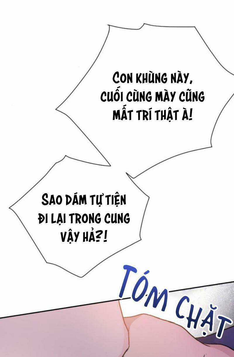 Cách Hiệp Sĩ Sống Như Một Tiểu Thư Quyền Quý Chapter 49 trang 51