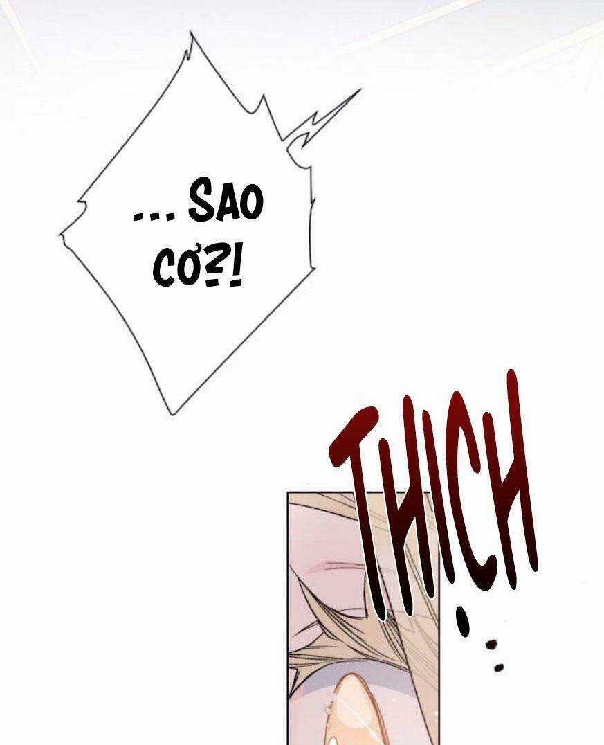 Cách Hiệp Sĩ Sống Như Một Tiểu Thư Quyền Quý Chapter 51 trang 37