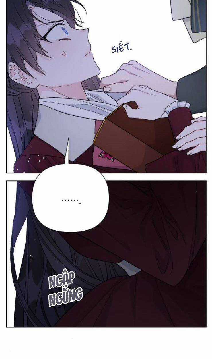 Cách Hiệp Sĩ Sống Như Một Tiểu Thư Quyền Quý Chapter 52 trang 95