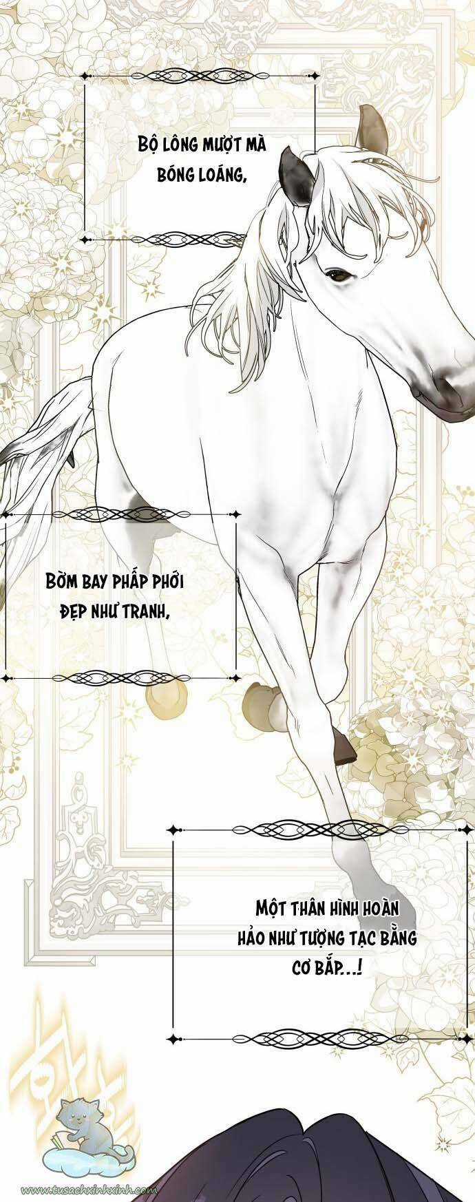 Cách Hiệp Sĩ Sống Như Một Tiểu Thư Quyền Quý Chapter 55 trang 65