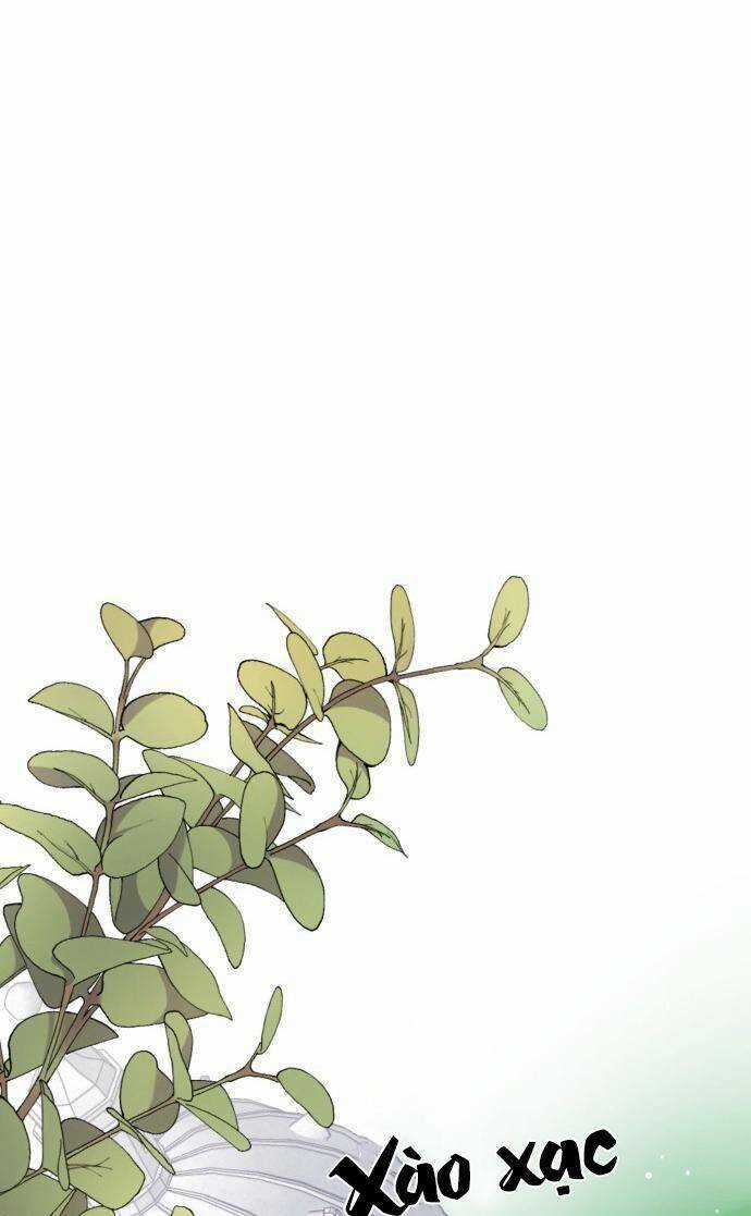 Cách Hiệp Sĩ Sống Như Một Tiểu Thư Quyền Quý Chapter 59 trang 22