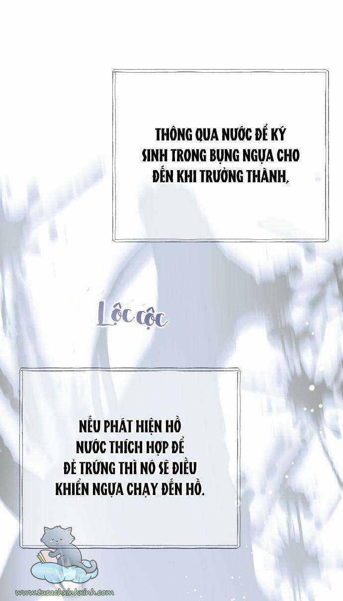 Cách Hiệp Sĩ Sống Như Một Tiểu Thư Quyền Quý Chapter 62 trang 10