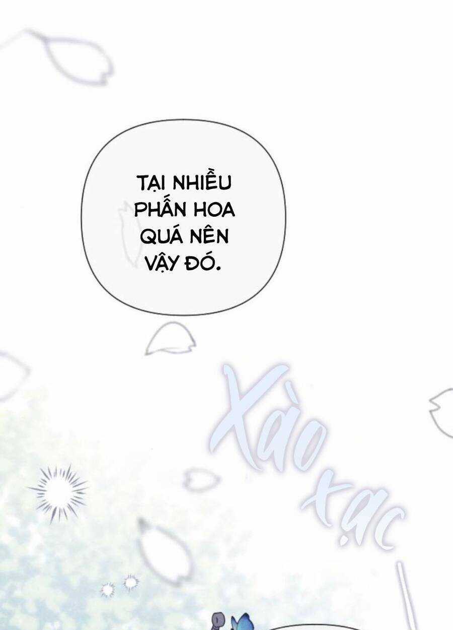 Cách Hiệp Sĩ Sống Như Một Tiểu Thư Quyền Quý Chapter 68 trang 2