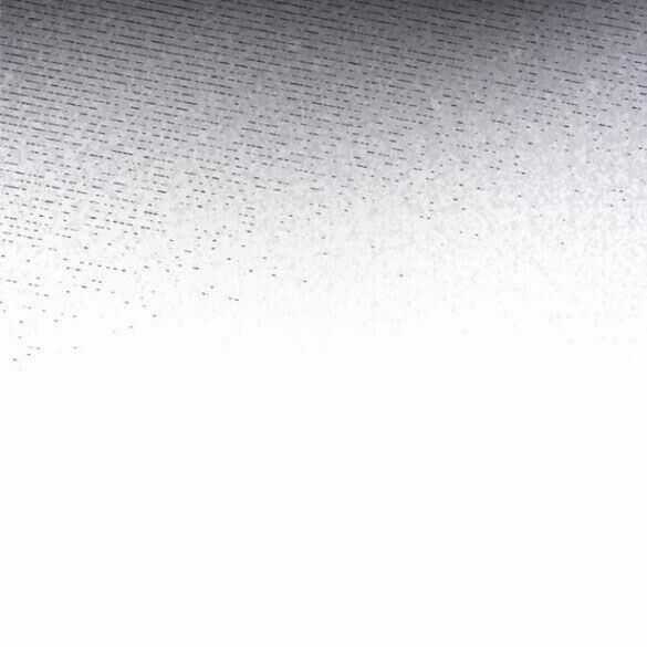 Cách Mà Kỵ Sĩ Sống Như Tiểu Thư Chapter 98.1 trang 41