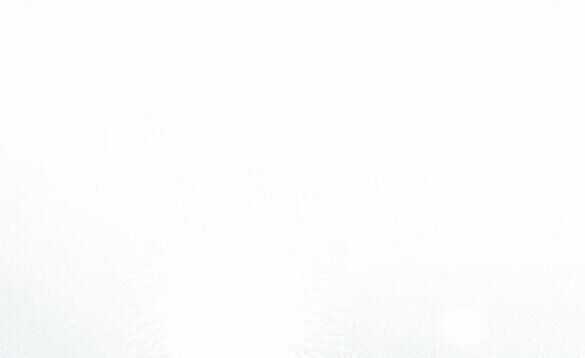 Cách Mà Kỵ Sĩ Sống Như Tiểu Thư Chapter 98.2 trang 44