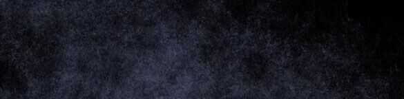 Cách Mà Kỵ Sĩ Sống Như Tiểu Thư Chapter 99.2 trang 15