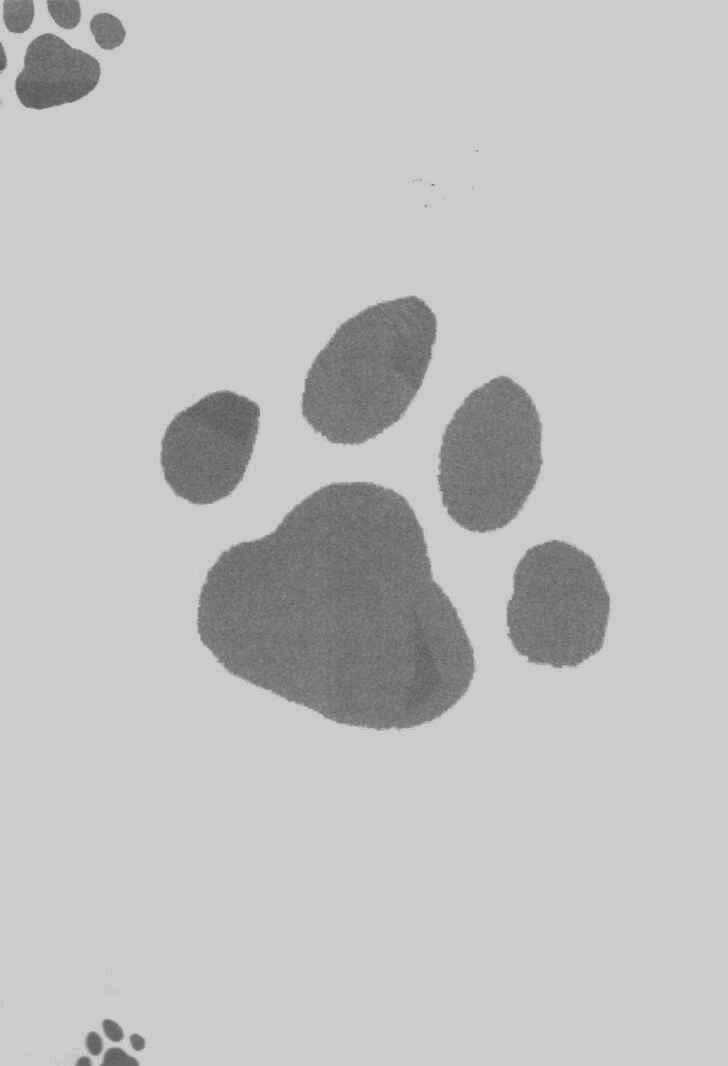 Cafe Kichijoji Chapter 5 trang 33