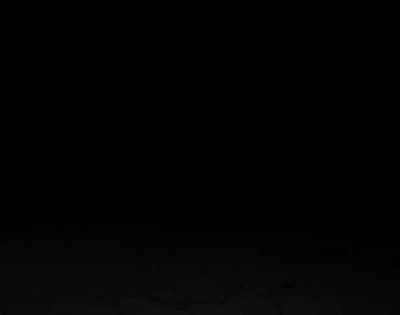 Cái Bóng Phản Bội Của Gia Tộc Chapter 23 trang 73