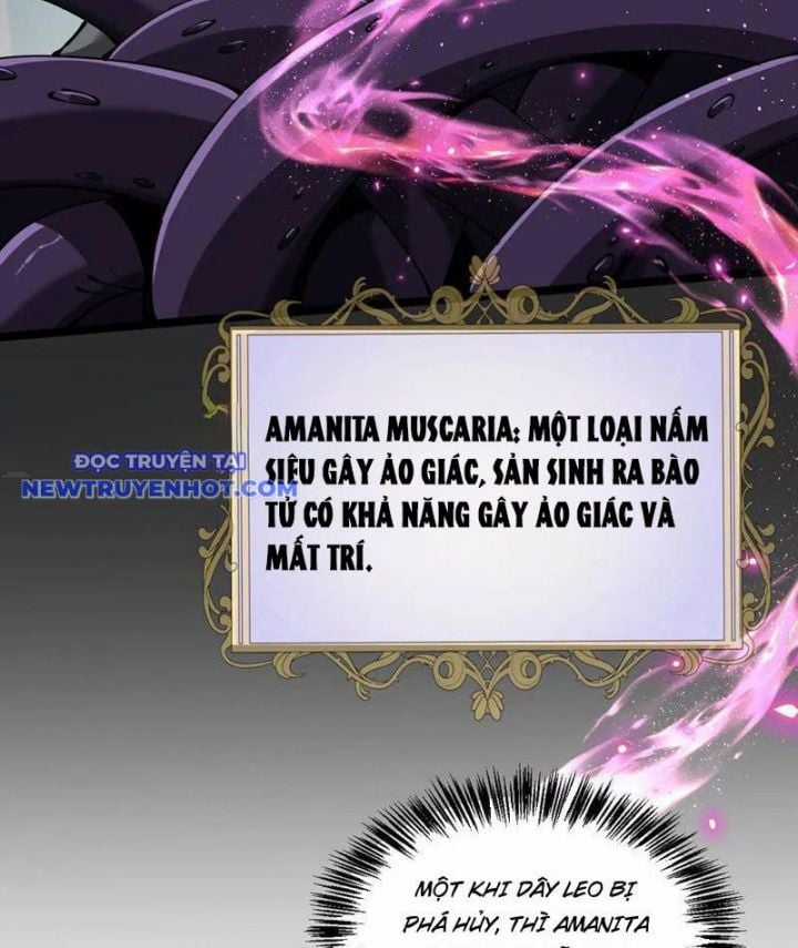 Cái Bóng Phản Bội Của Gia Tộc Chapter 38 trang 63