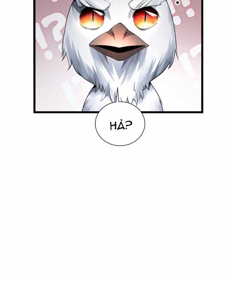 Cái Bóng Phản Bội Của Gia Tộc Chapter 7 trang 13