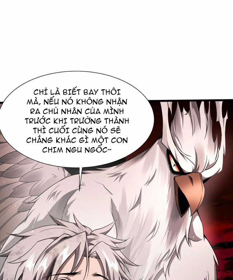 Cái Bóng Phản Bội Của Gia Tộc Chapter 7 trang 40