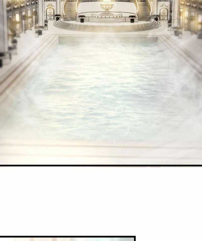 Cái Bóng Phản Bội Của Gia Tộc Chapter 8 trang 13