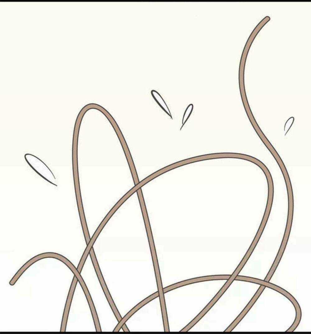 Cái Gì! Cái Gì! - Chân Du Chapter 3 trang 10