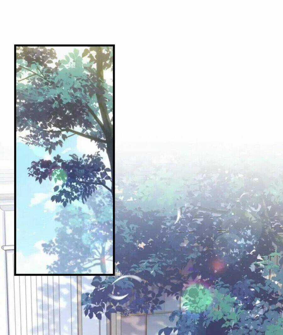 Cái Giá Khi Huỷ Hôn. Chapter 24 trang 3