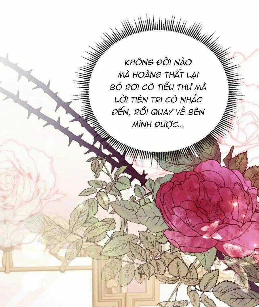 Cái Giá Khi Huỷ Hôn. Chapter 24 trang 49