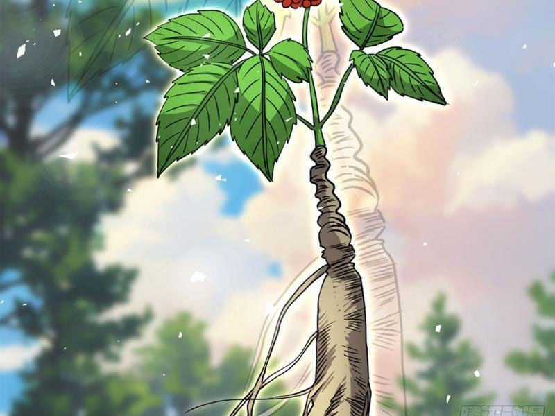 Cái Thế Thần Y Chapter 19 trang 18