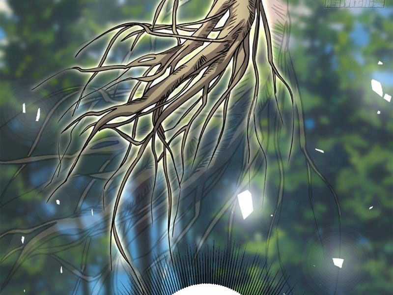 Cái Thế Thần Y Chapter 19 trang 19