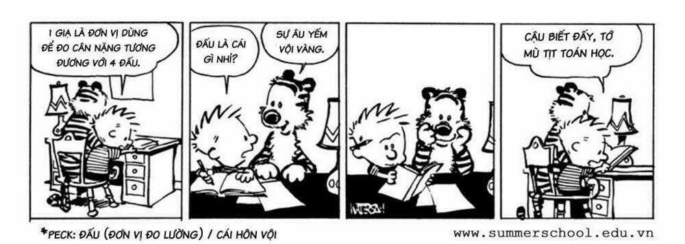 Calvin And Hobbes Chapter 62 trang 1