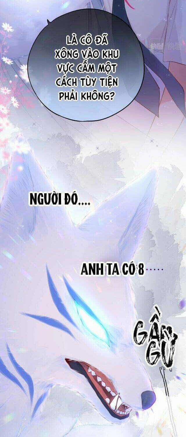 Cạm Bẫy Của Hồ Ly Chapter 1 trang 5