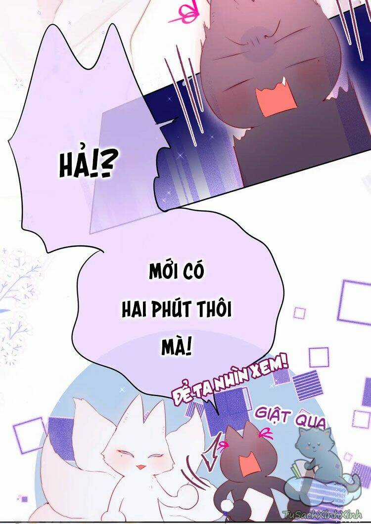 Cạm Bẫy Của Hồ Ly Chapter 12 trang 26