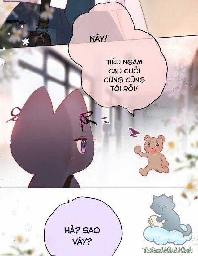 Cạm Bẫy Của Hồ Ly Chapter 13 trang 16