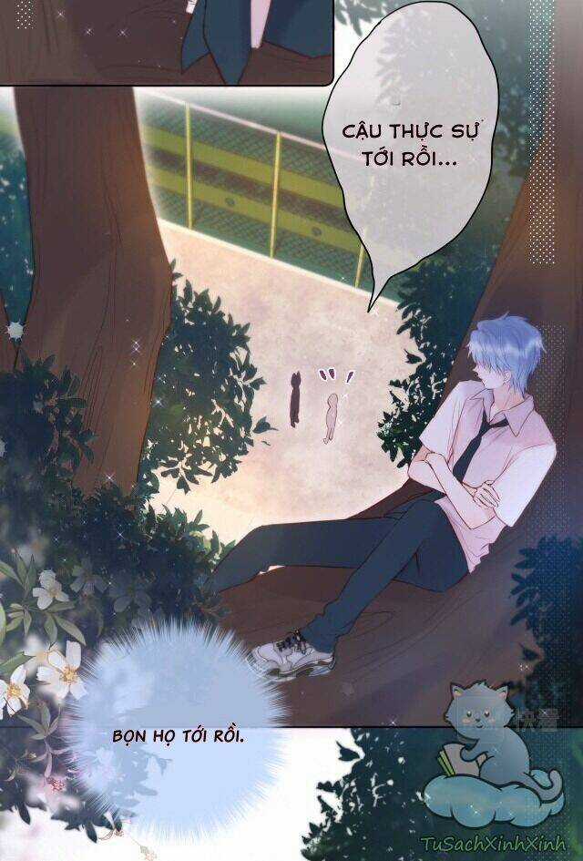 Cạm Bẫy Của Hồ Ly Chapter 14 trang 14