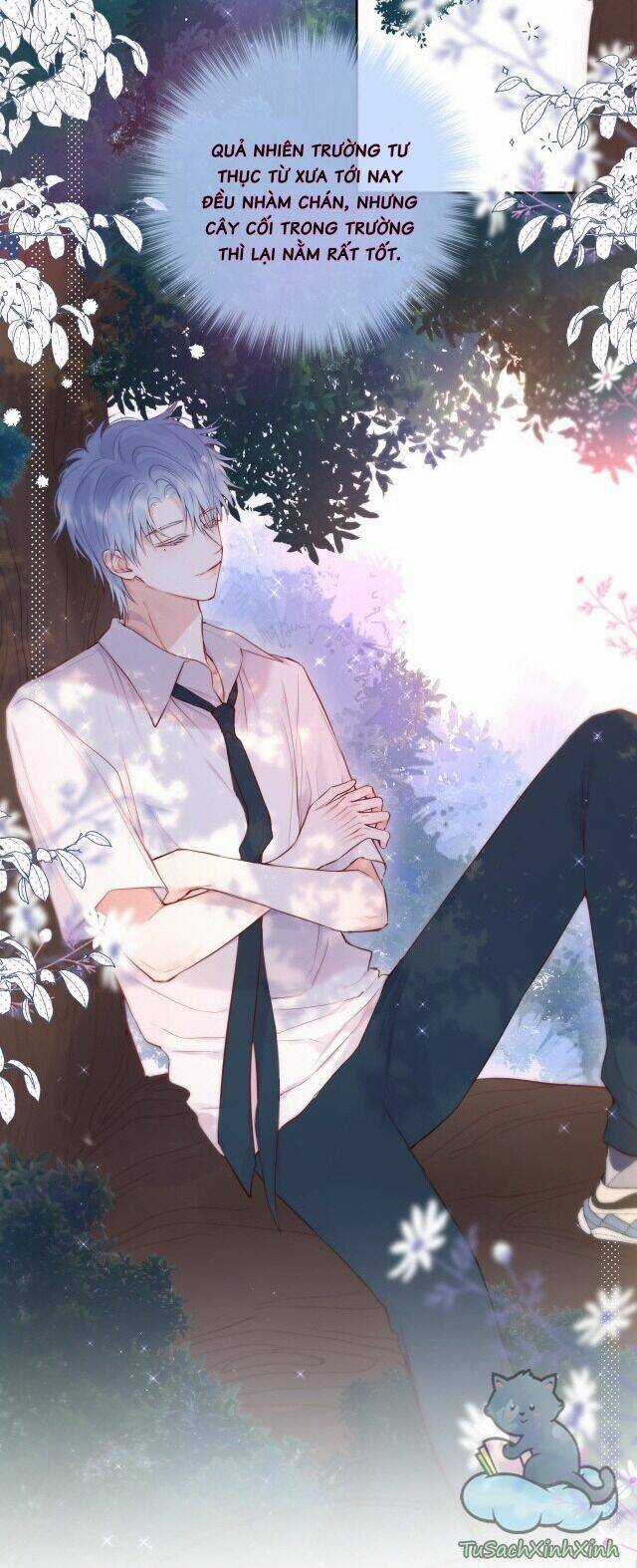 Cạm Bẫy Của Hồ Ly Chapter 14 trang 9