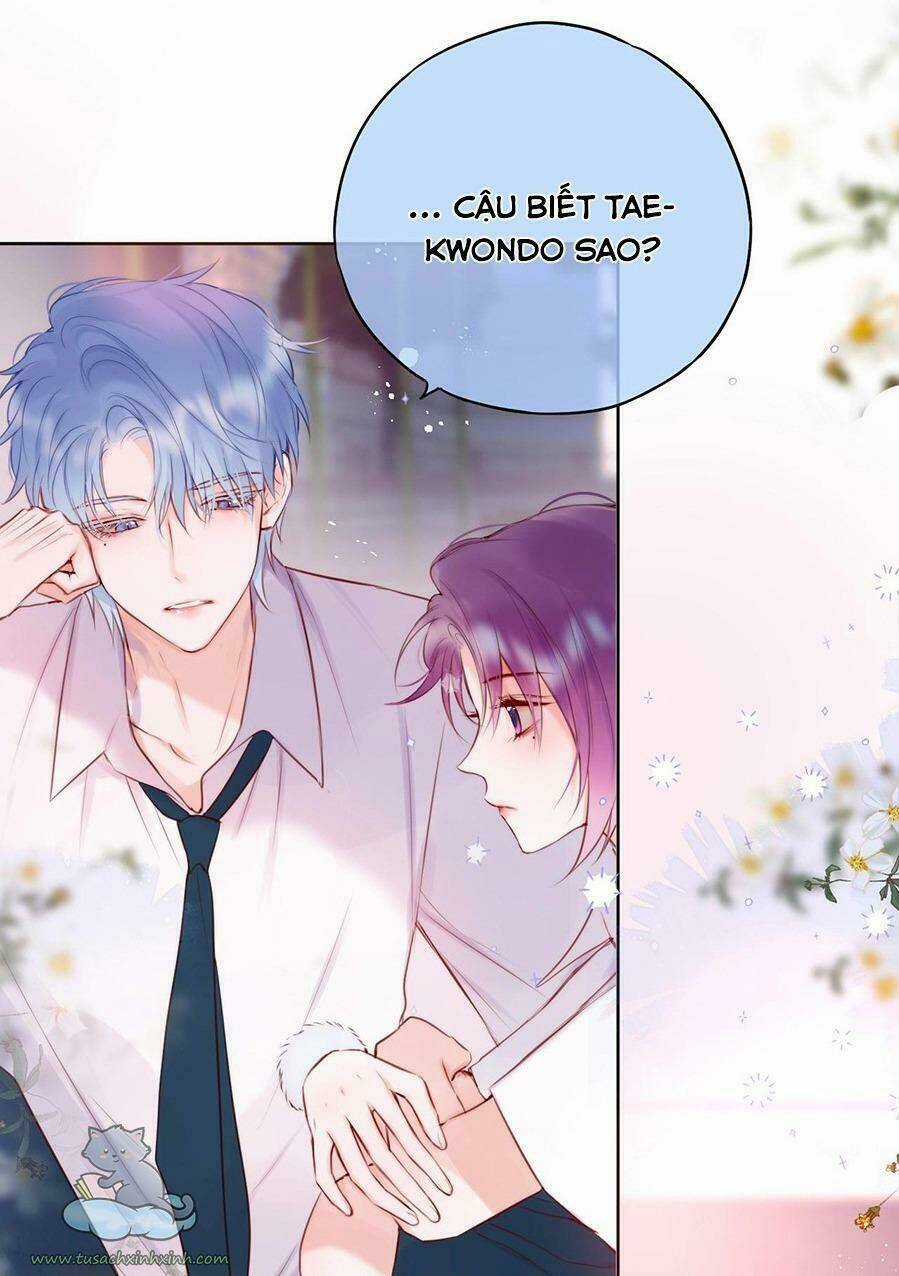 Cạm Bẫy Của Hồ Ly Chapter 16 trang 13