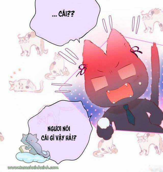 Cạm Bẫy Của Hồ Ly Chapter 22 trang 11