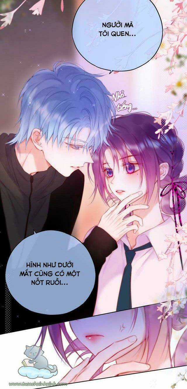 Cạm Bẫy Của Hồ Ly Chapter 22 trang 15