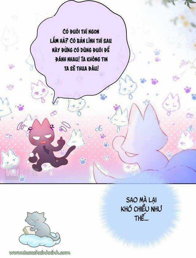 Cạm Bẫy Của Hồ Ly Chapter 22 trang 28