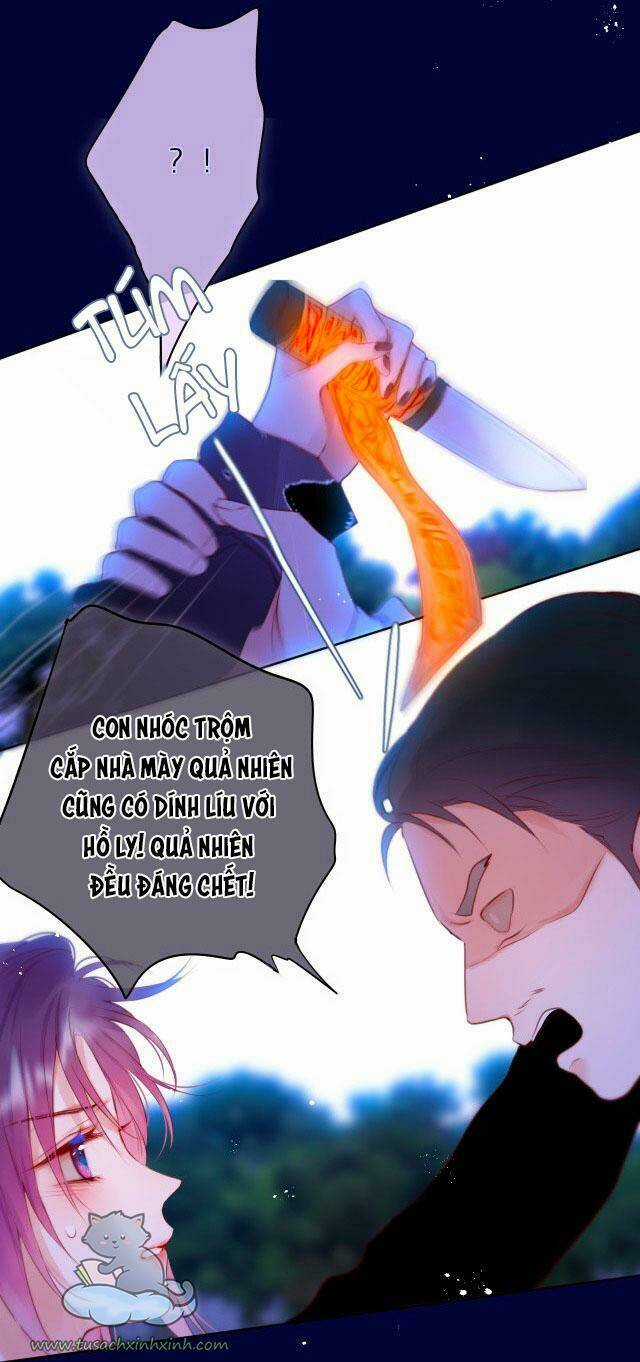 Cạm Bẫy Của Hồ Ly Chapter 27 trang 17