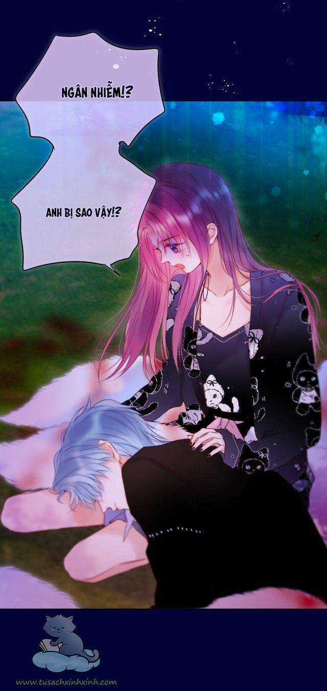 Cạm Bẫy Của Hồ Ly Chapter 28 trang 15