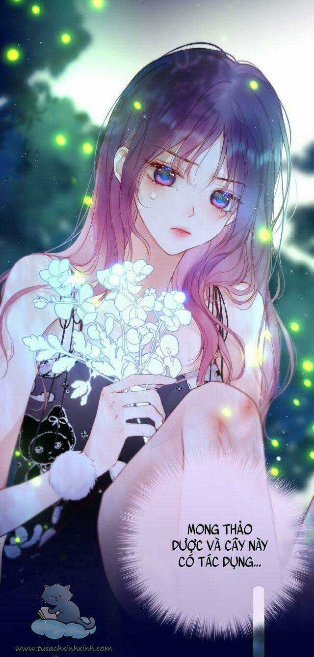 Cạm Bẫy Của Hồ Ly Chapter 29 trang 19