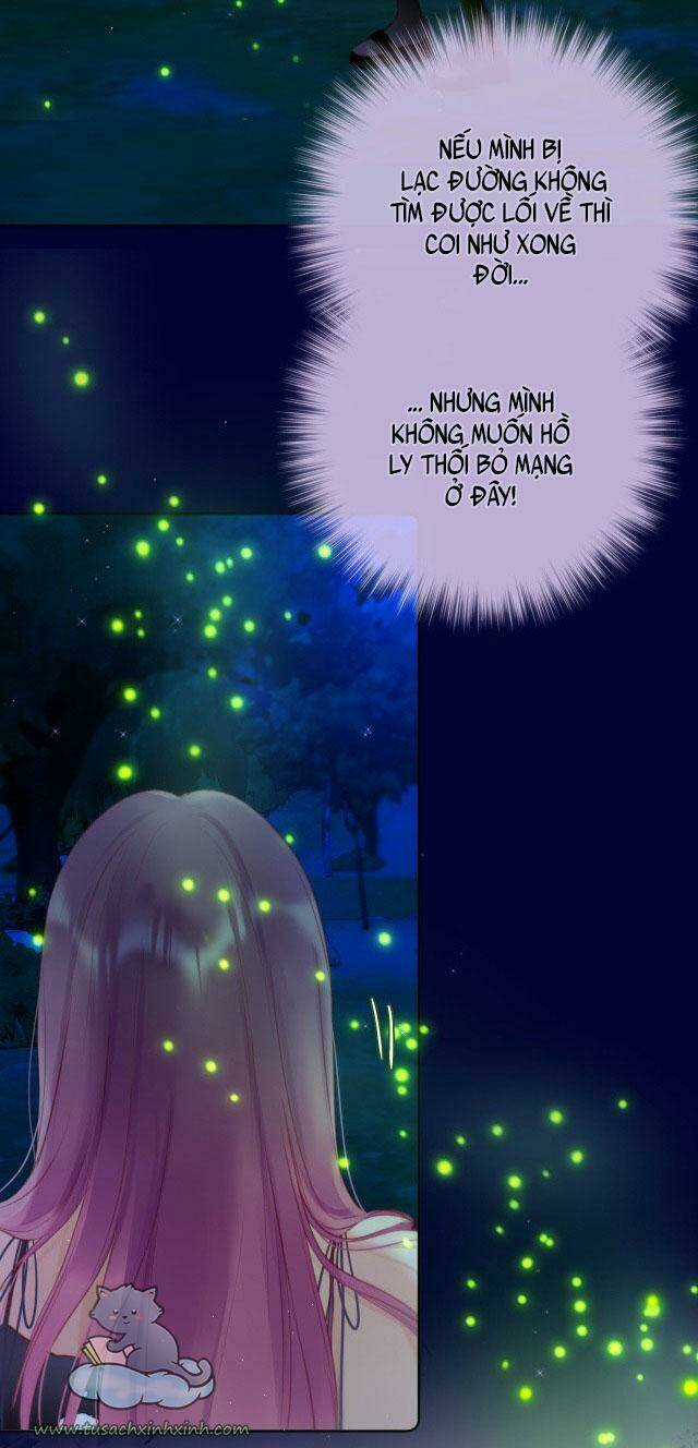 Cạm Bẫy Của Hồ Ly Chapter 29 trang 4