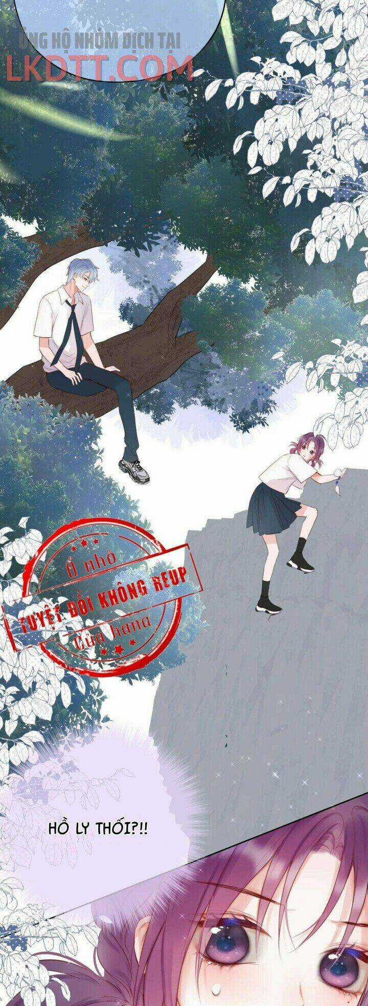 Cạm Bẫy Của Hồ Ly Chapter 3 trang 18