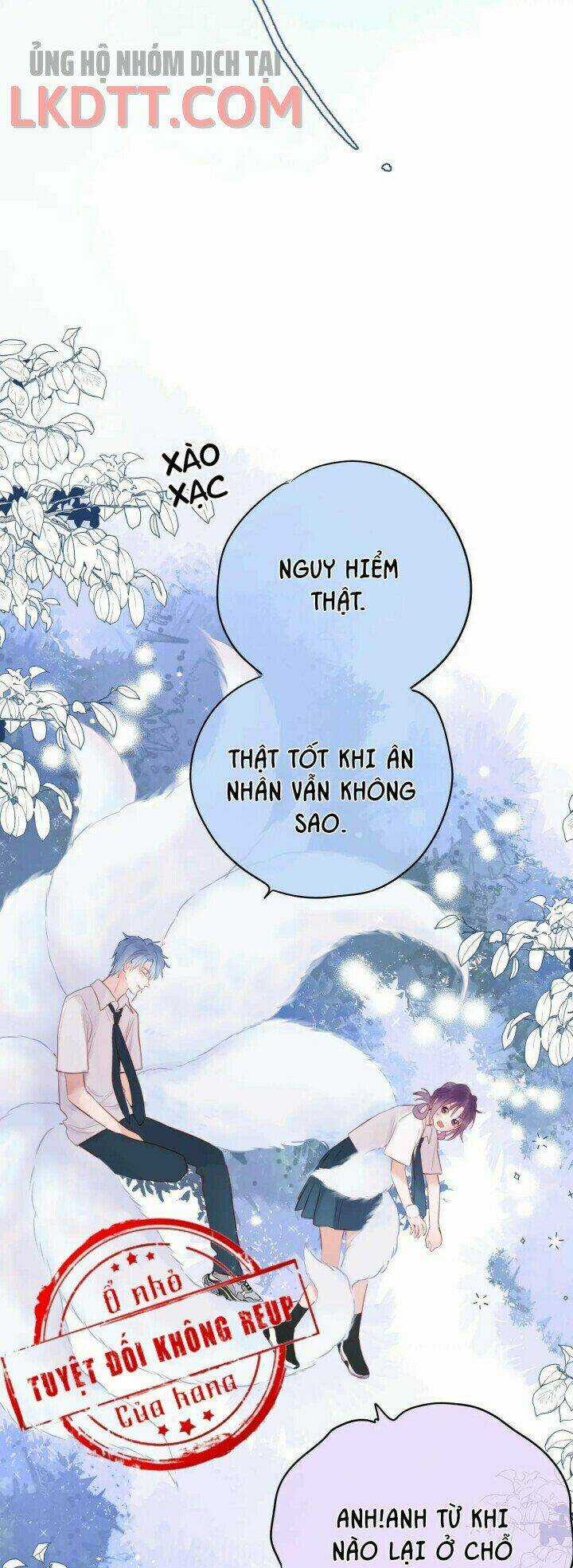 Cạm Bẫy Của Hồ Ly Chapter 3 trang 20